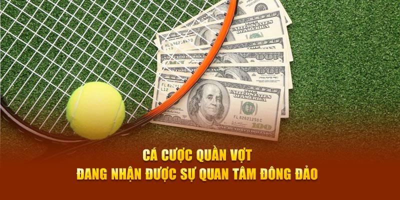 Cá cược quần vợt đang nhận được sự quan tâm đông đảo