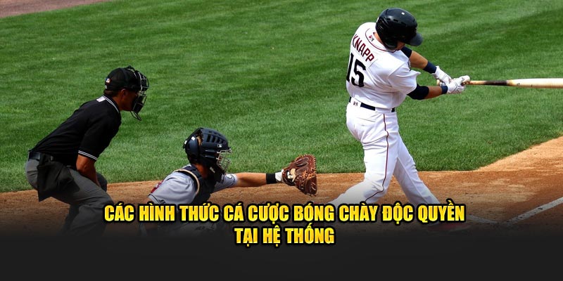 Các hình thức cá cược bóng chày độc quyền tại hệ thống