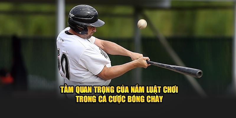 Tầm quan trọng của nắm luật chơi trong cá cược bóng chày