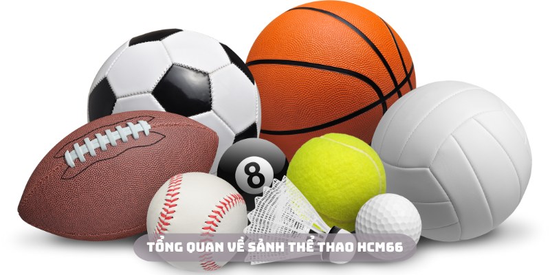 Thể thao HCM66 là sân chơi với chất lượng quốc tế