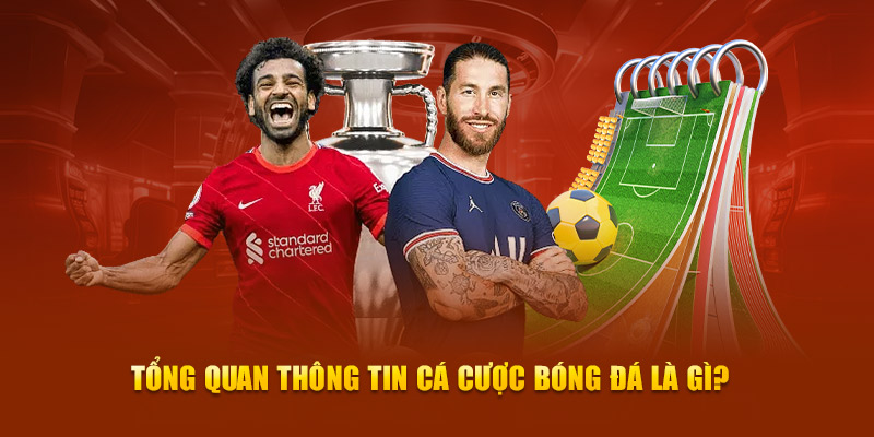 Tổng quan thông tin cá cược bóng đá là gì?